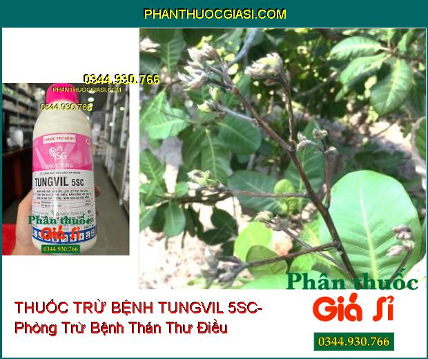 THUỐC TRỪ BỆNH TUNGVIL 5SC- Đặc Trị Bệnh Khô Vằn- Đạo Ôn- Thán Thư- Nấm Hồng