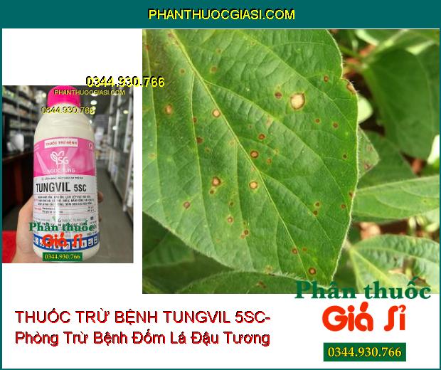 THUỐC TRỪ BỆNH TUNGVIL 5SC- Đặc Trị Bệnh Khô Vằn- Đạo Ôn- Thán Thư- Nấm Hồng