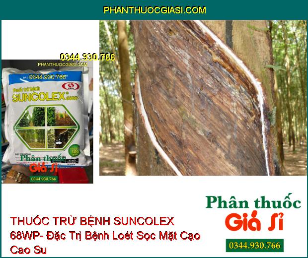 THUỐC TRỪ BỆNH SUNCOLEX 68WP- Đặc Trị Bệnh Loét Sọc Mặt Cạo Trên Cao Su- Chết Nhanh Trên Hồ Tiêu