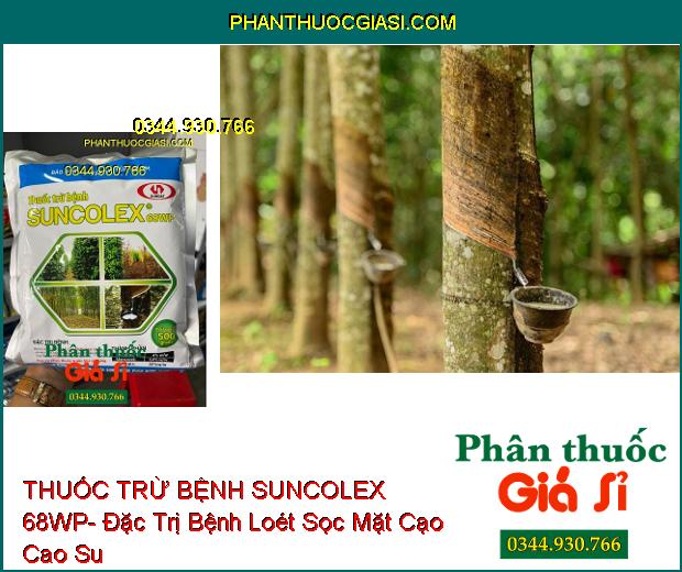 THUỐC TRỪ BỆNH SUNCOLEX 68WP- Đặc Trị Bệnh Loét Sọc Mặt Cạo Trên Cao Su- Chết Nhanh Trên Hồ Tiêu