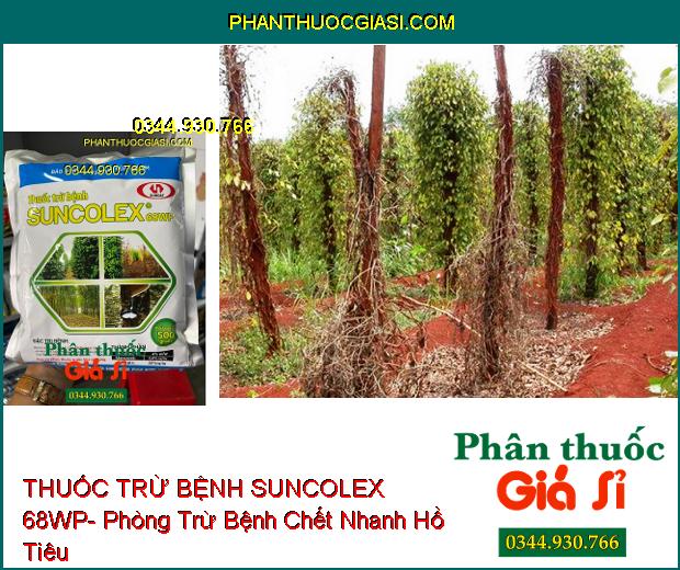 THUỐC TRỪ BỆNH SUNCOLEX 68WP- Đặc Trị Bệnh Loét Sọc Mặt Cạo Trên Cao Su- Chết Nhanh Trên Hồ Tiêu