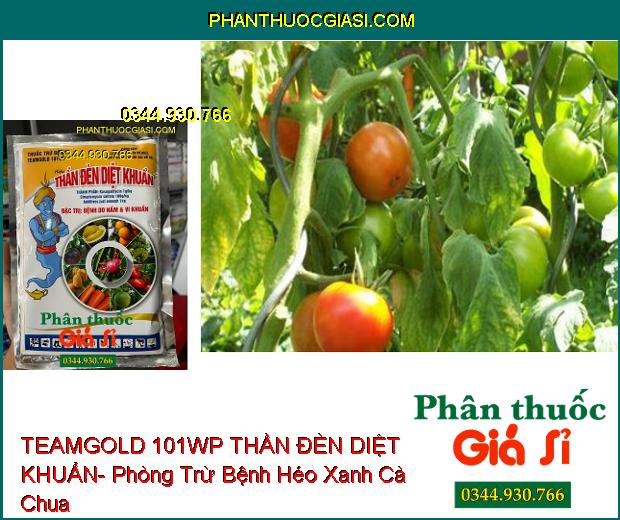 TEAMGOLD 101WP THẦN ĐÈN DIỆT KHUẨN- Đặc Trị Bệnh Do Nấm Và Vi Khuẩn