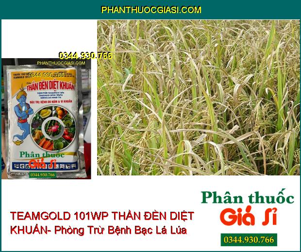 TEAMGOLD 101WP THẦN ĐÈN DIỆT KHUẨN- Đặc Trị Bệnh Do Nấm Và Vi Khuẩn