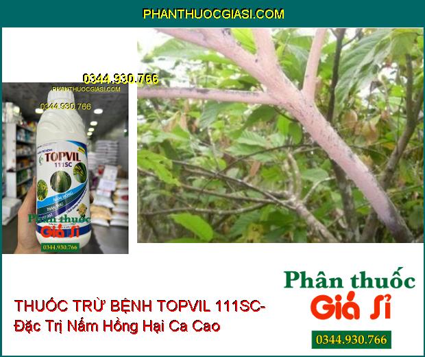 THUỐC TRỪ BỆNH TOPVIL 111SC- Đặc Trị Nấm Hồng- Thán Thư- Lem Lép Hạt