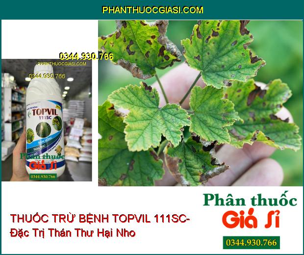 THUỐC TRỪ BỆNH TOPVIL 111SC- Đặc Trị Nấm Hồng- Thán Thư- Lem Lép Hạt