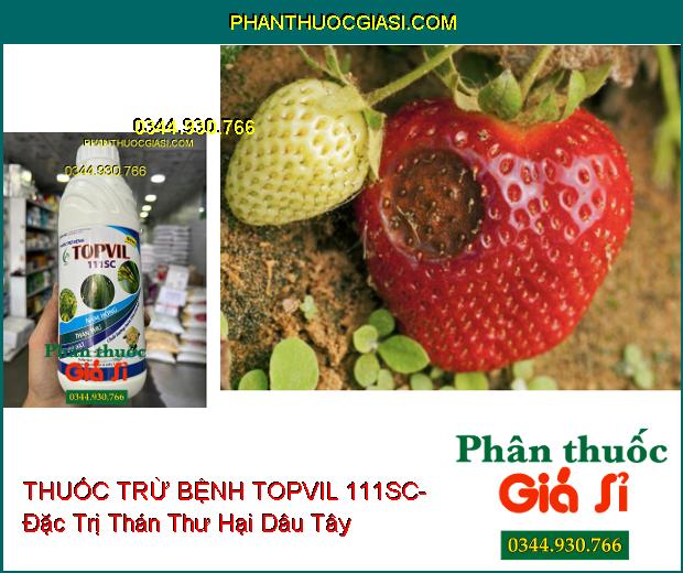 THUỐC TRỪ BỆNH TOPVIL 111SC- Đặc Trị Nấm Hồng- Thán Thư- Lem Lép Hạt