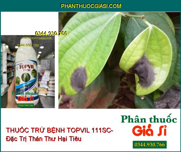 THUỐC TRỪ BỆNH TOPVIL 111SC- Đặc Trị Nấm Hồng- Thán Thư- Lem Lép Hạt