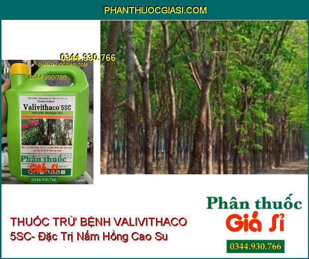 THUỐC TRỪ BỆNH VALIVITHACO 5SC- Đặc Trị Nấm Hồng- Đốm Vằn- Lở Cổ Rễ 