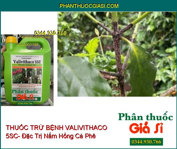 THUỐC TRỪ BỆNH VALIVITHACO 5SC- Đặc Trị Nấm Hồng- Đốm Vằn- Lở Cổ Rễ 