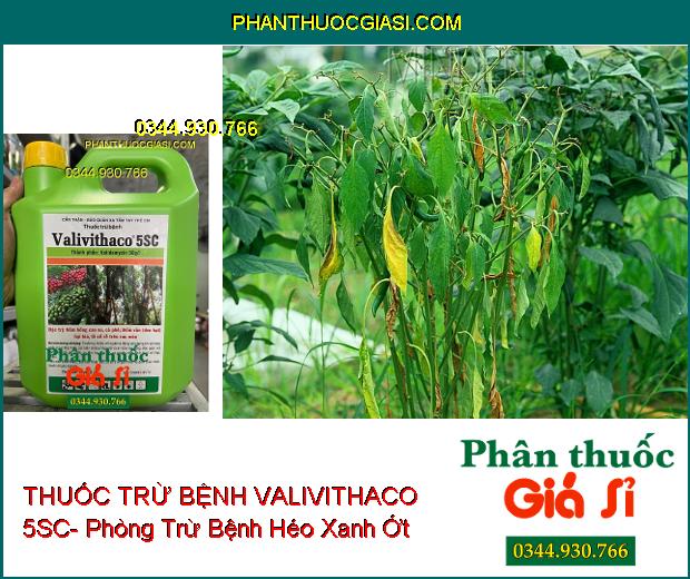 THUỐC TRỪ BỆNH VALIVITHACO 5SC- Đặc Trị Nấm Hồng- Đốm Vằn- Lở Cổ Rễ 