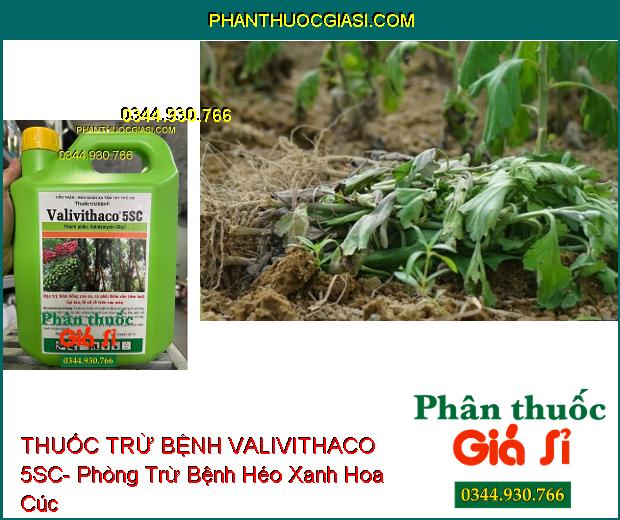 THUỐC TRỪ BỆNH VALIVITHACO 5SC- Đặc Trị Nấm Hồng- Đốm Vằn- Lở Cổ Rễ 