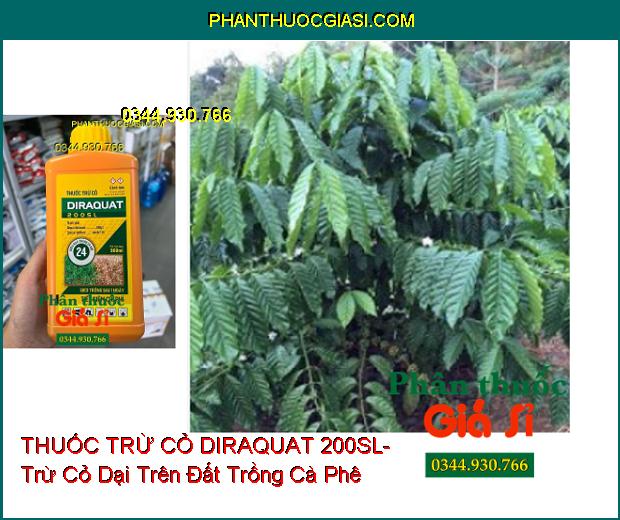 THUỐC TRỪ CỎ DIRAQUAT 200SL- Trừ Cỏ Dại Trên Đất Trồng Cà Phê