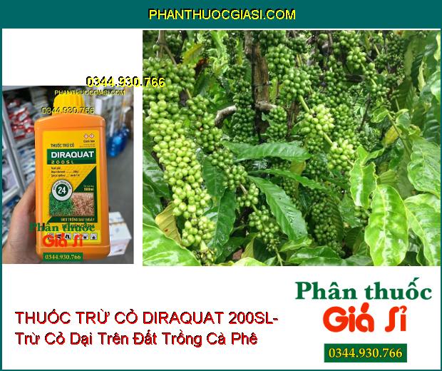 THUỐC TRỪ CỎ DIRAQUAT 200SL- Trừ Cỏ Dại Trên Đất Trồng Cà Phê