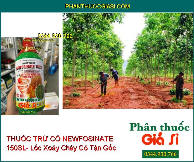 THUỐC TRỪ CỎ NEWFOSINATE 150SL- Lốc Xoáy Cháy Cỏ Tận Gốc