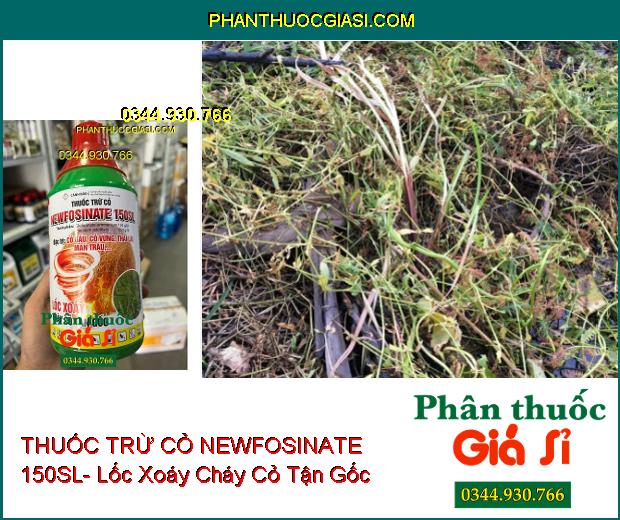 THUỐC TRỪ CỎ NEWFOSINATE 150SL- Lốc Xoáy Cháy Cỏ Tận Gốc