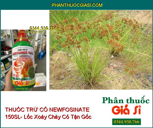 THUỐC TRỪ CỎ NEWFOSINATE 150SL- Lốc Xoáy Cháy Cỏ Tận Gốc