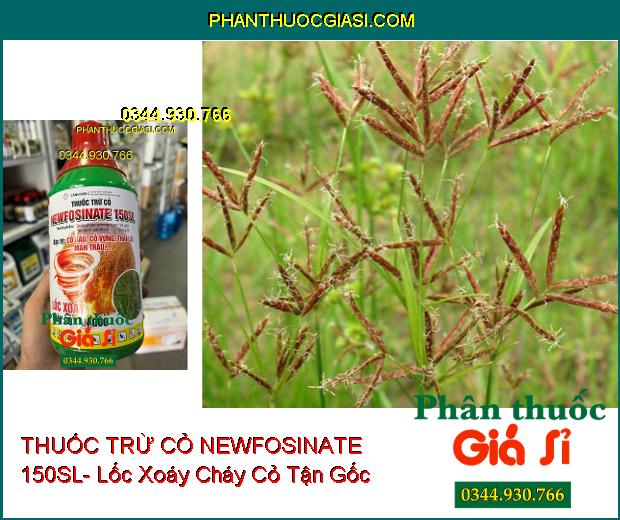 THUỐC TRỪ CỎ NEWFOSINATE 150SL- Lốc Xoáy Cháy Cỏ Tận Gốc