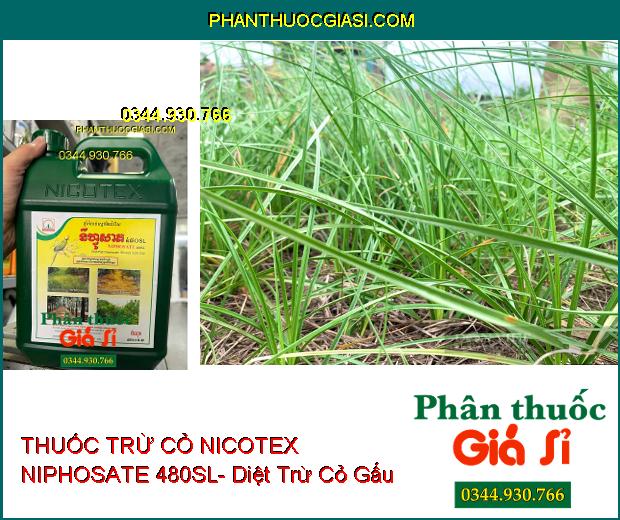 THUỐC TRỪ CỎ NICOTEX NIPHOSATE 480SL- Diệt Tất Cả Các Loại Cỏ