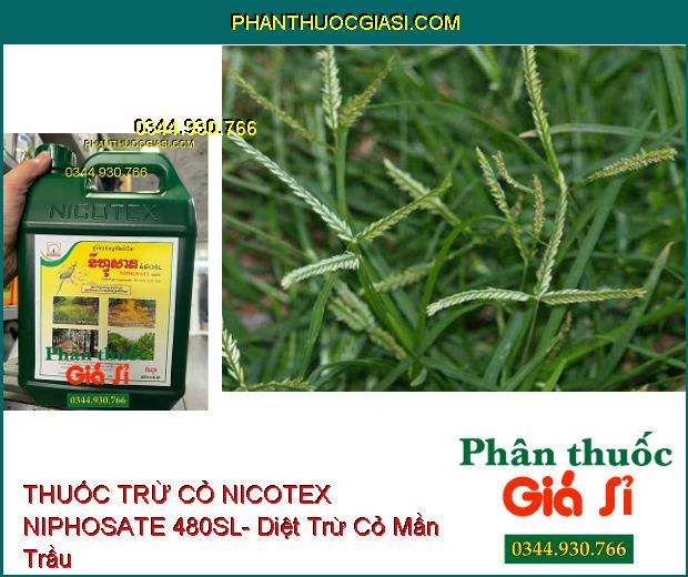 THUỐC TRỪ CỎ NICOTEX NIPHOSATE 480SL- Diệt Tất Cả Các Loại Cỏ