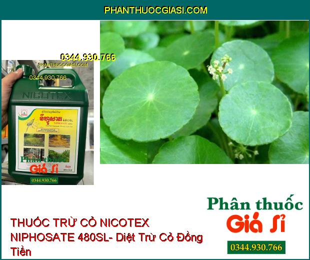 THUỐC TRỪ CỎ NICOTEX NIPHOSATE 480SL- Diệt Tất Cả Các Loại Cỏ