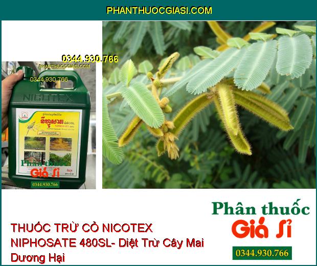 THUỐC TRỪ CỎ NICOTEX NIPHOSATE 480SL- Diệt Tất Cả Các Loại Cỏ