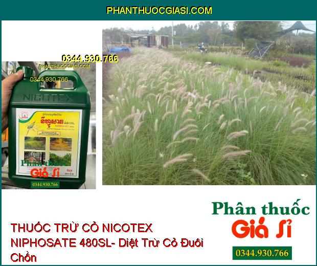 THUỐC TRỪ CỎ NICOTEX NIPHOSATE 480SL- Diệt Tất Cả Các Loại Cỏ