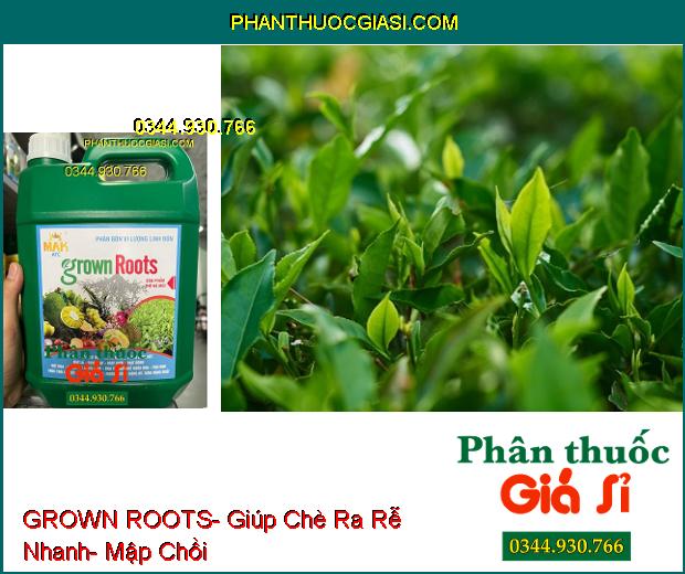 PHÂN BÓN VI LƯỢNG GROWN ROOTS- Hạ Phèn- Ra Rễ Nhanh- Mập Chồi- Vọt Hoa- Thúc Lớn Trái- Đẹp Trái