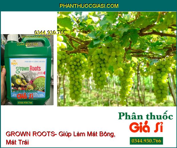 PHÂN BÓN VI LƯỢNG GROWN ROOTS- Hạ Phèn- Ra Rễ Nhanh- Mập Chồi- Vọt Hoa- Thúc Lớn Trái- Đẹp Trái