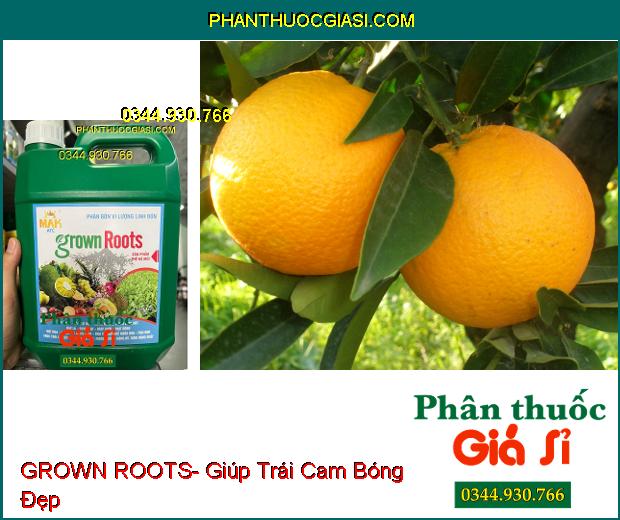 PHÂN BÓN VI LƯỢNG GROWN ROOTS- Hạ Phèn- Ra Rễ Nhanh- Mập Chồi- Vọt Hoa- Thúc Lớn Trái- Đẹp Trái