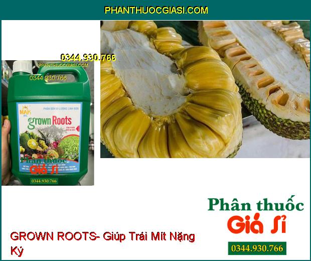 PHÂN BÓN VI LƯỢNG GROWN ROOTS- Hạ Phèn- Ra Rễ Nhanh- Mập Chồi- Vọt Hoa- Thúc Lớn Trái- Đẹp Trái