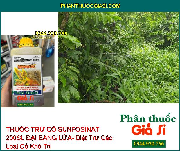 THUỐC TRỪ CỎ SUNFOSINAT 200SL ĐẠI BÀNG LỬA- Diệt Trừ Các Loại Cỏ Khó Trị