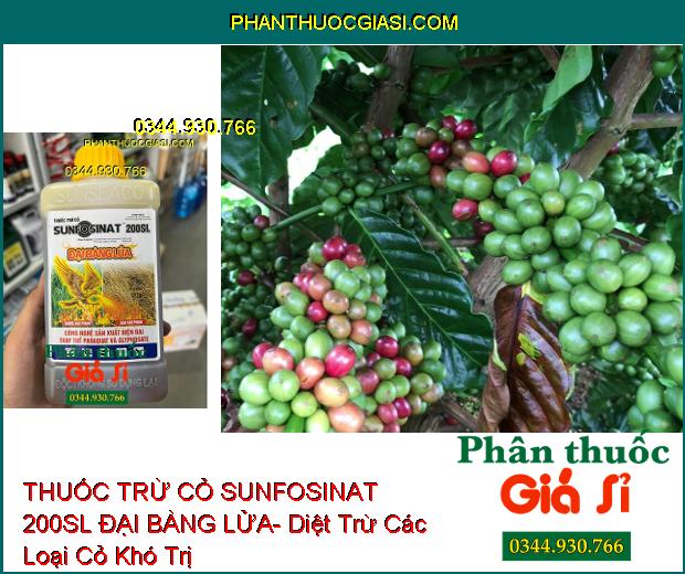 THUỐC TRỪ CỎ SUNFOSINAT 200SL ĐẠI BÀNG LỬA- Diệt Trừ Các Loại Cỏ Khó Trị