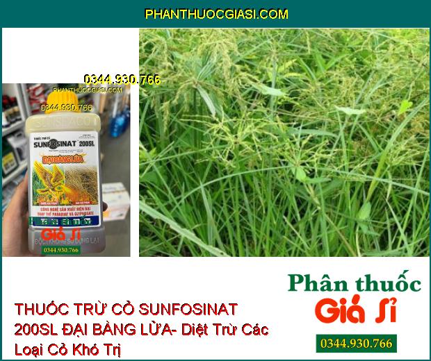 THUỐC TRỪ CỎ SUNFOSINAT 200SL ĐẠI BÀNG LỬA- Diệt Trừ Các Loại Cỏ Khó Trị