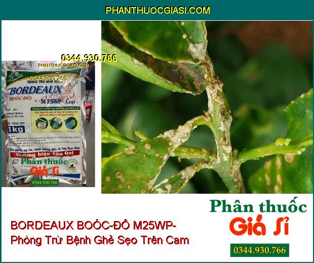 THUỐC TRỪ NẤM BỆNH BORDEAUX BOÓC-ĐÔ M25WP- Đặc Trị Nấm Bệnh Cây