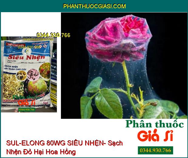 THUỐC TRỪ NHỆN SUL-ELONG 80WG SIÊU NHỆN- Sạch Nhện Hại- An Toàn Cho Cây