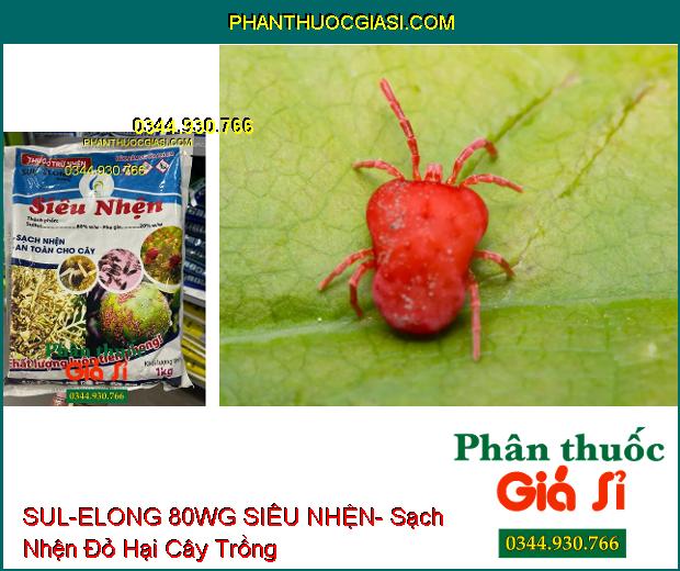 THUỐC TRỪ NHỆN SUL-ELONG 80WG SIÊU NHỆN- Sạch Nhện Hại- An Toàn Cho Cây