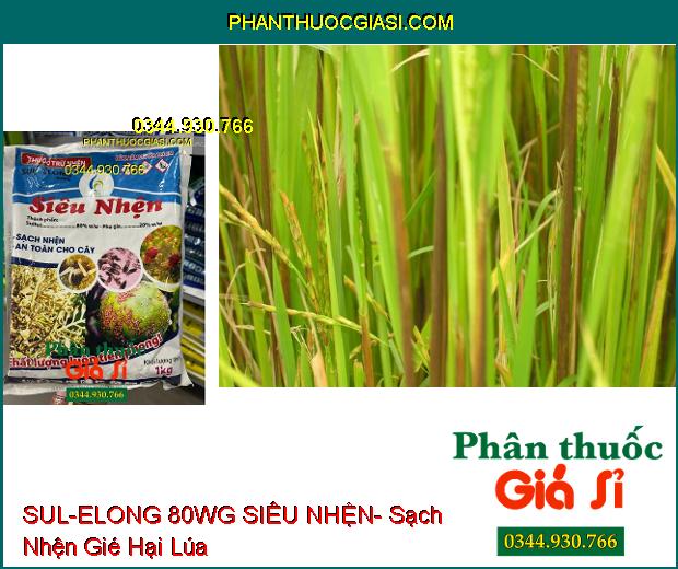 THUỐC TRỪ NHỆN SUL-ELONG 80WG SIÊU NHỆN- Sạch Nhện Hại- An Toàn Cho Cây