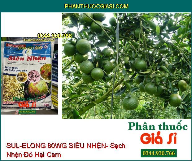 THUỐC TRỪ NHỆN SUL-ELONG 80WG SIÊU NHỆN- Sạch Nhện Hại- An Toàn Cho Cây