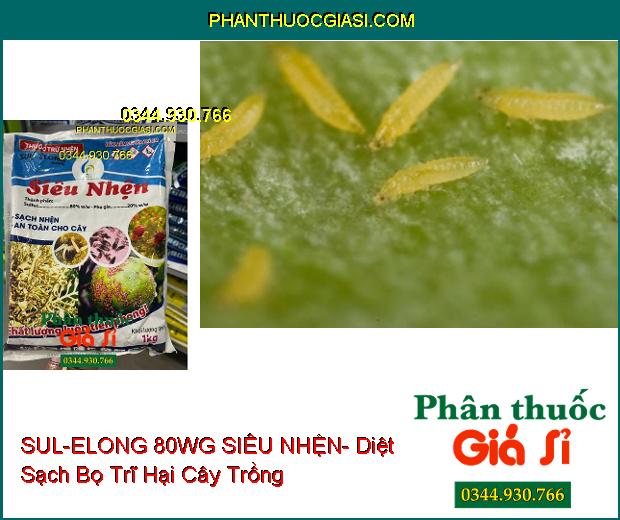 THUỐC TRỪ NHỆN SUL-ELONG 80WG SIÊU NHỆN- Sạch Nhện Hại- An Toàn Cho Cây