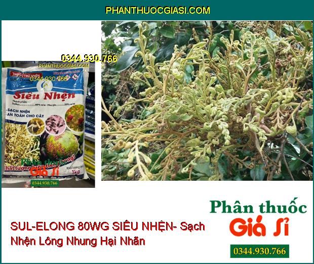 THUỐC TRỪ NHỆN SUL-ELONG 80WG SIÊU NHỆN- Sạch Nhện Hại- An Toàn Cho Cây