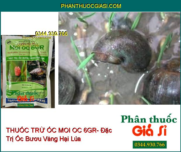 THUỐC TRỪ ỐC MOI OC 6GR- Đặc Trị Ốc Bươu Vàng Hại Lúa