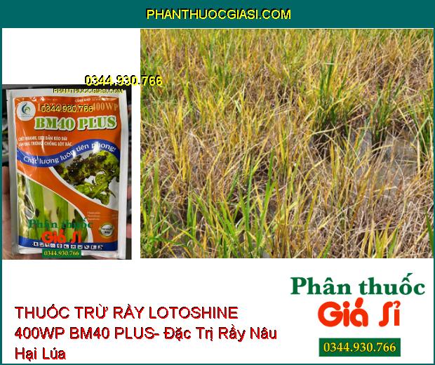 THUỐC TRỪ RẦY LOTOSHINE 400WP BM40 PLUS- Đặc Trị Rầy Nâu Hại Lúa