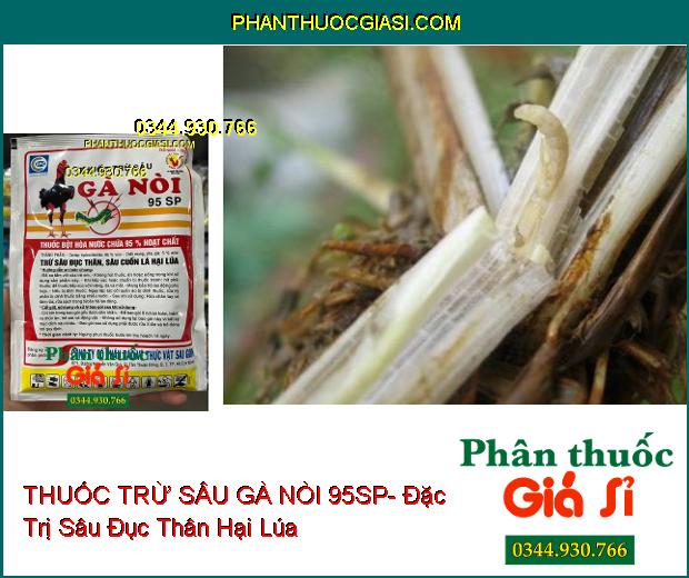 THUỐC TRỪ SÂU GÀ NÒI 95SP- Đặc Trị Sâu Đục Thân- Sâu Cuốn Lá Hại Lúa