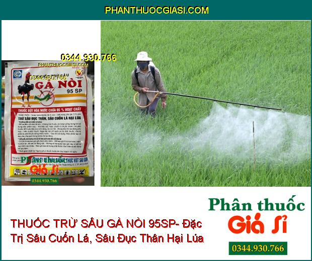 THUỐC TRỪ SÂU GÀ NÒI 95SP- Đặc Trị Sâu Đục Thân- Sâu Cuốn Lá Hại Lúa