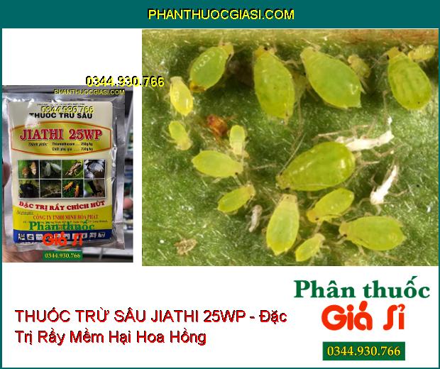 THUỐC TRỪ SÂU JIATHI 25WP - Đặc Trị Rầy Chích Hút - Bọ Trĩ