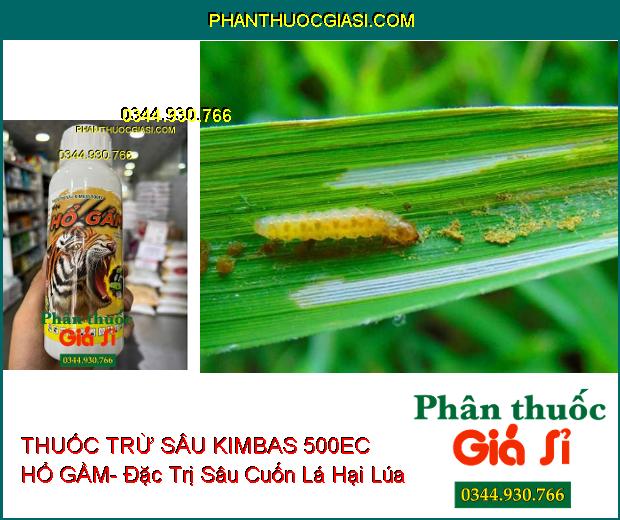 THUỐC TRỪ SÂU KIMBAS 500EC HỔ GẦM- Đặc Trị Bọ Xít- Bọ Trĩ- Rầy Xanh