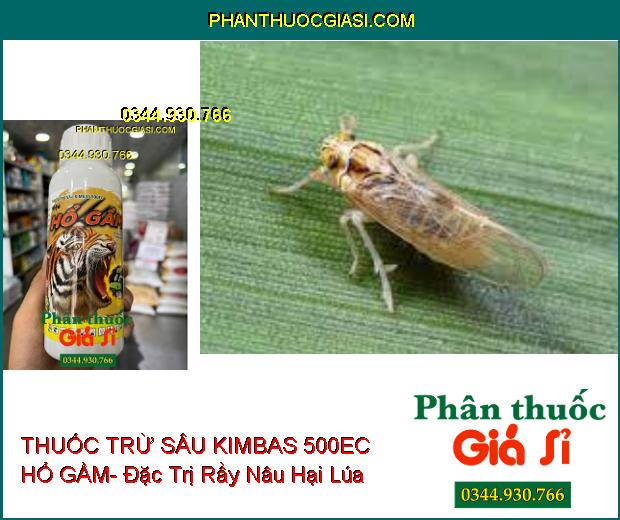 THUỐC TRỪ SÂU KIMBAS 500EC HỔ GẦM- Đặc Trị Bọ Xít- Bọ Trĩ- Rầy Xanh