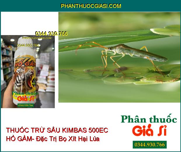 THUỐC TRỪ SÂU KIMBAS 500EC HỔ GẦM- Đặc Trị Bọ Xít- Bọ Trĩ- Rầy Xanh