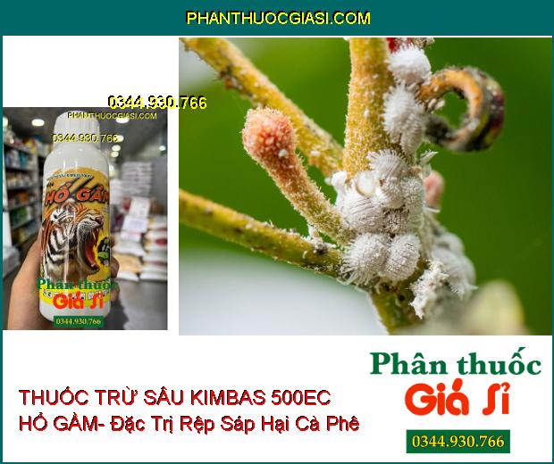 THUỐC TRỪ SÂU KIMBAS 500EC HỔ GẦM- Đặc Trị Bọ Xít- Bọ Trĩ- Rầy Xanh