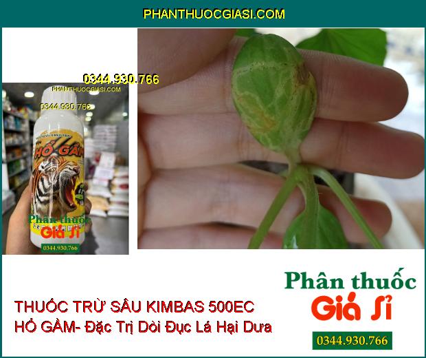 THUỐC TRỪ SÂU KIMBAS 500EC HỔ GẦM- Đặc Trị Bọ Xít- Bọ Trĩ- Rầy Xanh